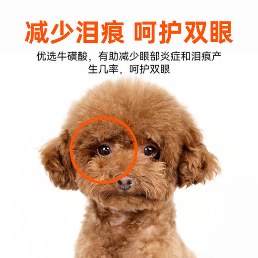 【商品】好主人贵宾/泰迪专用粮全价犬粮7.5kg 商品图1