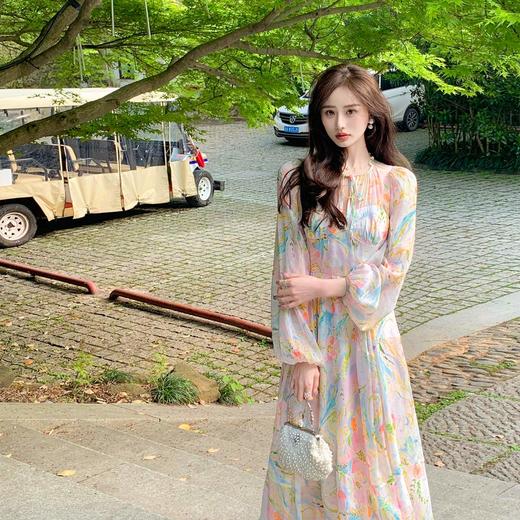 【花艺美术馆】轻奢高端气质100桑蚕丝碎花连衣裙2023春新款 商品图0