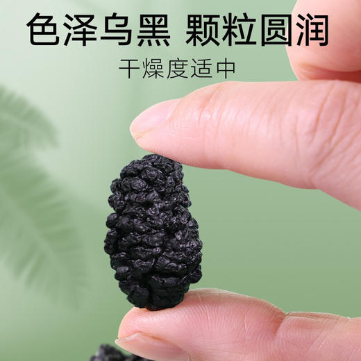 【正宗同仁堂品牌】北京同仁堂 桑椹干200g 手工采摘 精选无沙洁净即食SY 商品图2