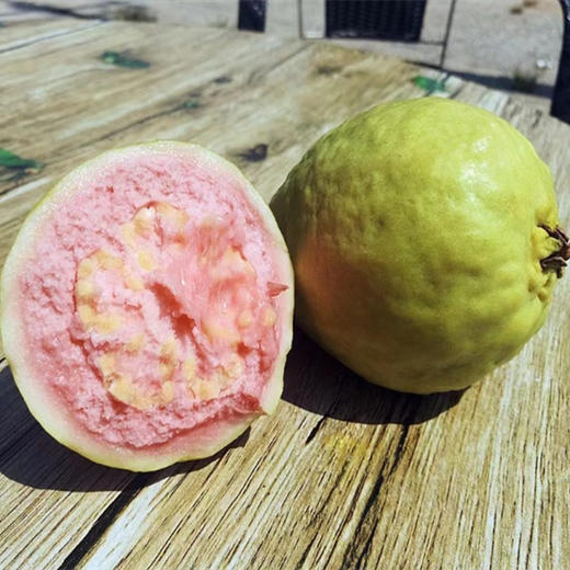 生态种植番石榴（芭乐）树上现摘发货，不使用化肥，除草剂，农药，催熟剂，激素，保鲜剂，蜡等等任何化学制剂 商品图5