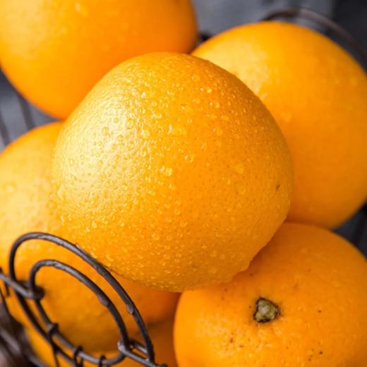 黑标澳洲脐橙（5个装/2.4斤） 商品图0