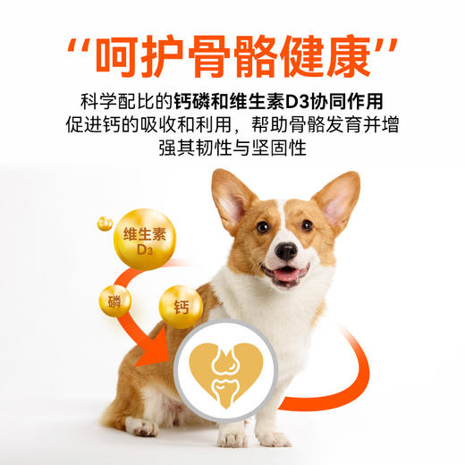 【商品】好主人全犬种通用狗粮10kg 商品图1