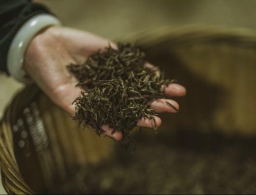 2026年新茶纯料金骏眉预售 预计4月10日到店 商品图4