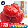 蜜之番(松匠人子品牌)新疆特产和田大枣500g 又大又软，超大个，果肉密实FX 商品缩略图1