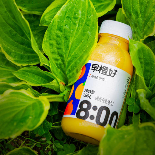 【广东·零度果坊早橙好NFC果汁饮料】 纯果汁饮料 橙汁早餐果汁 280g*8瓶/箱 商品图5