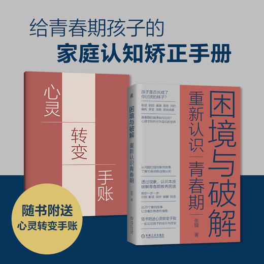 困境与破解——重新认识青春期 商品图1