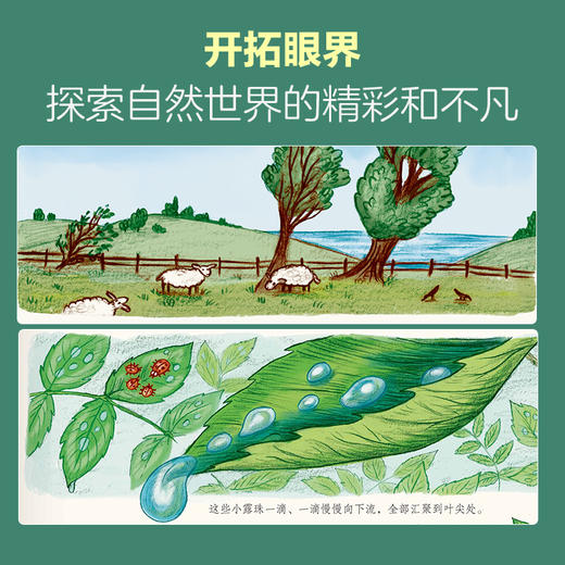 乐乐趣珍藏精装绘本-《当小脚慢下来》 商品图4