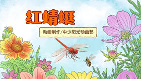2023年5月 动画  红蜻蜓