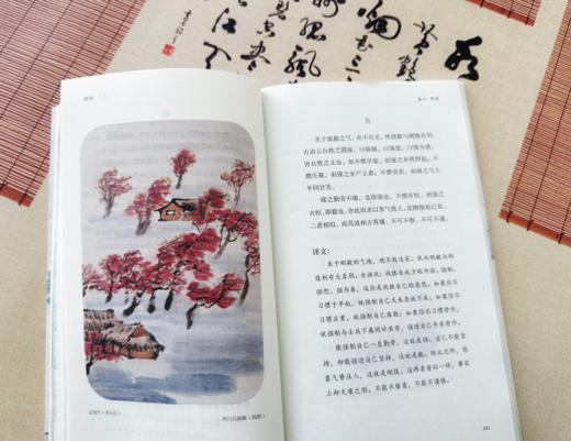 《中国古典生活风雅四书》| 修炼内心境界，发现生活乐趣 商品图6