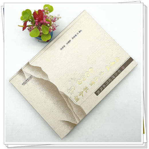 阎孝诚　李维贤　孔令诩学术传承文集（中医基础理论传承丛书） 杨金生 金香兰 徐世杰 主编 中国中医药出版社 书籍 商品图2