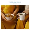 【6F】WEDGWOOD威基伍德金粉年华礼盒情侣对杯新婚结婚礼物 商品缩略图3