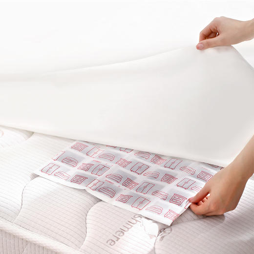 FaSoLa 除螨包床上用防螨虫包祛螨虫药包衣柜枕头床垫碘离子 商品图0