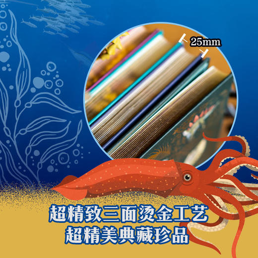 DK典藏博物馆 2023年精美书匣版 全5册 赠送贴纸 7-10岁 本·霍尔 等著 科普百科 商品图3