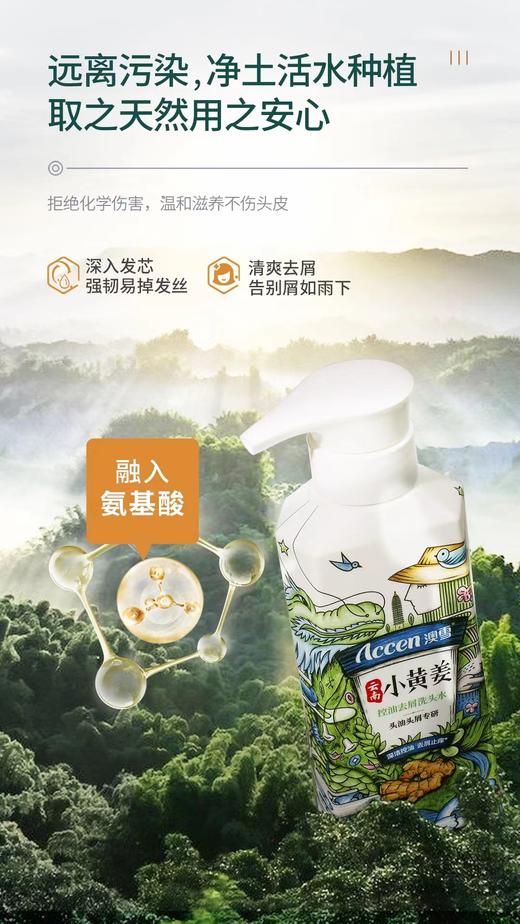 澳雪小黄姜控油去屑洗发水 商品图6