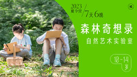 预约·森林奇想录