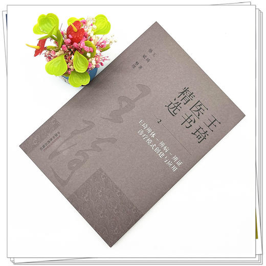 王琦辨体-辨病-辨证诊疗模式创建与应用（2） 王琦 著 王琦医书精选 中国中医药出版社 书籍 商品图2
