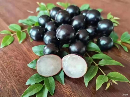 宏丰精选，嘉宝果，长在树上的葡萄，甜度高，高颜值，汁水足，活动价‼️‼️20元一盒 商品图0