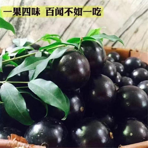 宏丰精选，嘉宝果，长在树上的葡萄，甜度高，高颜值，汁水足，活动价‼️‼️20元一盒 商品图1