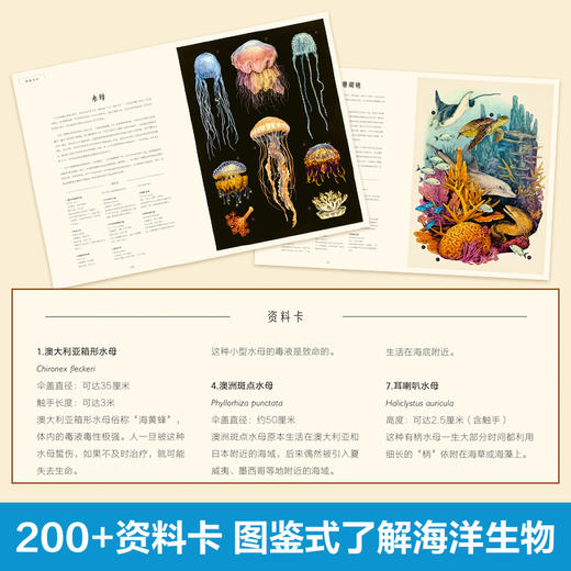 乐乐趣-奇迹博物馆 海洋博物馆 商品图2