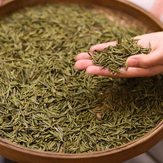 【爱茶人必抢魏老师金奖黄芽，蒙顶魏氏非遗手工黄芽！魏久淞亲制，一茶难求】四炒四包，芽条匀整  色泽嫩黄  芽毫显露  花香幽长  汤色黄亮透碧  滋味鲜爽 商品图4