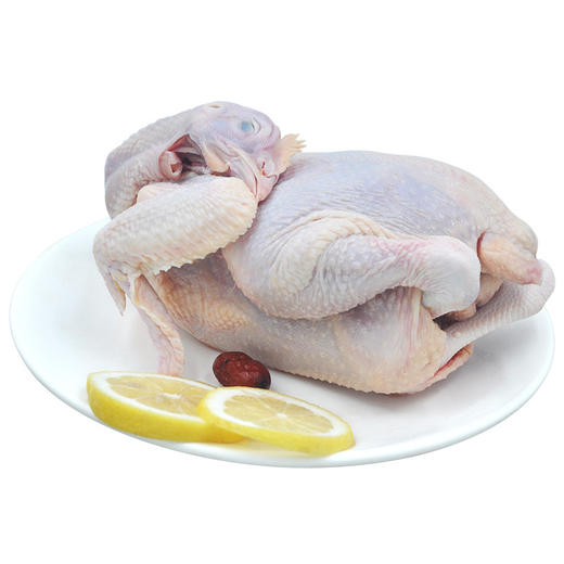  农家养殖 三黄鸡750~900g/只  整只 新鲜 冷冻 包邮 土鸡 走地鸡 包邮 商品图3