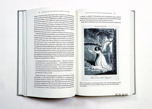Portraiture and British Gothic Fiction: The Rise of Picture Identification  / 肖像画和英国哥特式小说：图片识别的兴起 17 商品图4