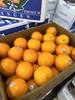 周四取货：【澳洲黑标3107橙】一份5个！超好吃的橙，没有之一！细腻无渣！超甜！超水！ 商品缩略图2