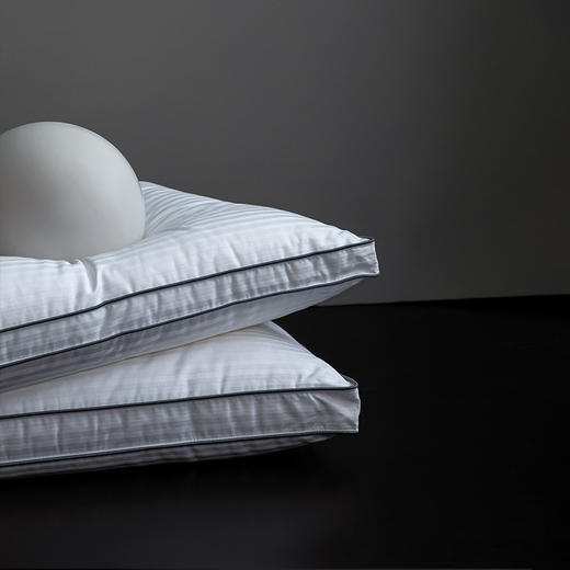 罗莱家纺全棉提花抗菌柔丝枕 商品图2