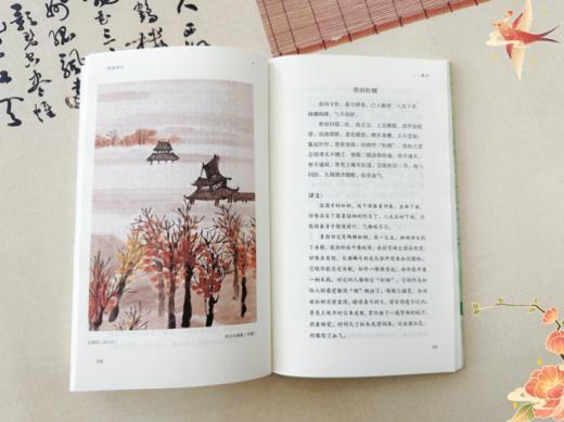 《中国古典生活风雅四书》| 修炼内心境界，发现生活乐趣 商品图4