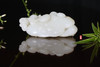 和田玉（羊脂玉）籽料摆件--灵芝童子 409.81g 商品缩略图3