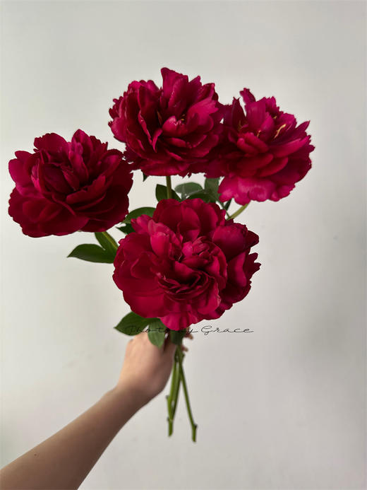 芍药花老忠诚5支 商品图5