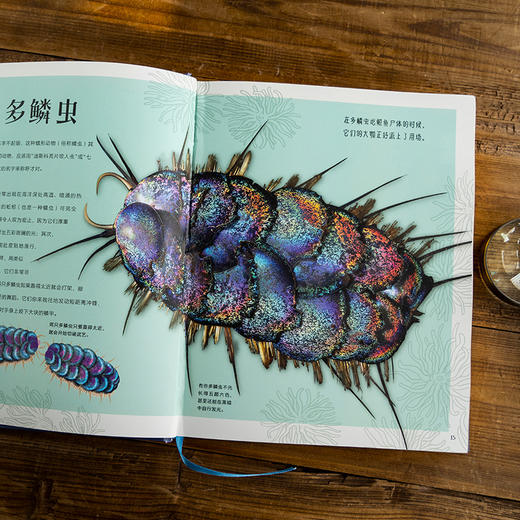 DK探秘缤纷水世界 商品图2