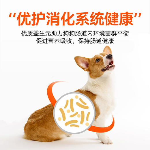 【商品】好主人全犬种通用狗粮10kg 商品图2