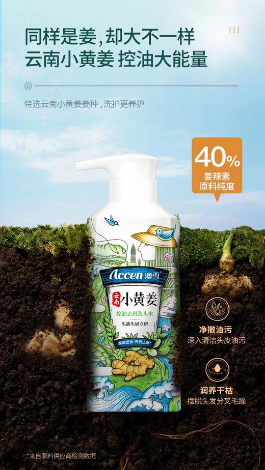 澳雪小黄姜控油去屑洗发水 商品图7