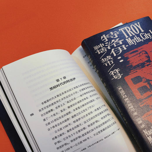 特洛伊 : 神话、城市、符号 商品图5