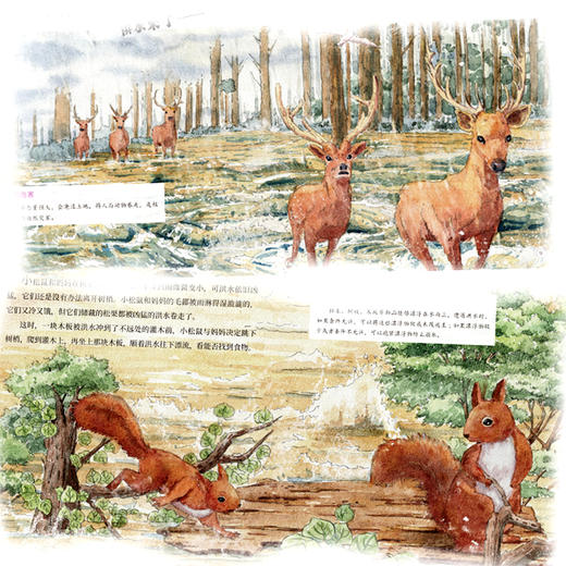 讲给孩子的自然灾害科普绘本（全8册） 商品图2