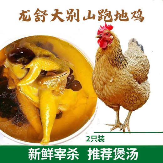 【秒杀】龙舒大别山散养童子鸡刨地鸡2只装（750g/只） 商品图0