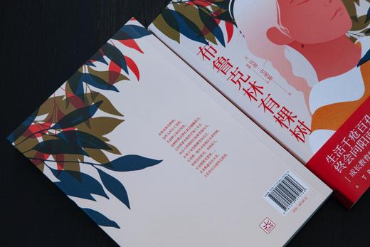 布鲁克林有棵树【定价69.8元 直播特价34.9元】 商品图2