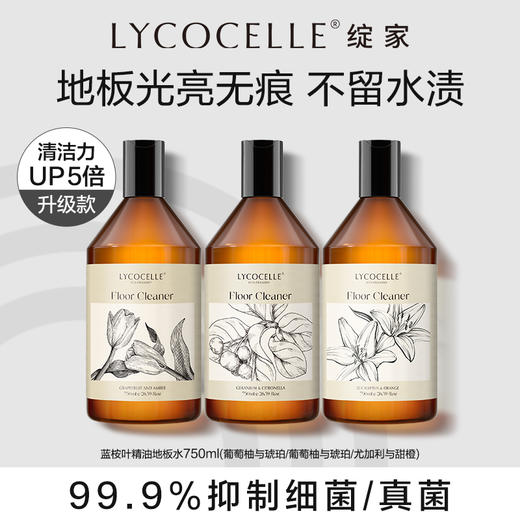 【每个订单送一个喷瓶】【云仓发货】绽家地板清洁剂拖木地板瓷砖专用清洗液抛光去污除垢净留香750ml 商品图0