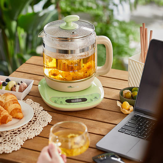 【小程序】小熊养生壶 YSH-B18T1 绿色 蛋架+滤网+4扣点上盖 4螺柱发热盘 无灯款底座 商品图7