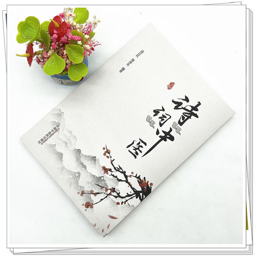 诗词中医  边江红 周泽先 著  中国中医药出版社 中医文化 书籍 商品图2