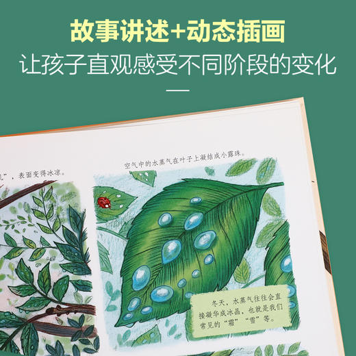 乐乐趣珍藏精装绘本-《当小脚慢下来》 商品图2