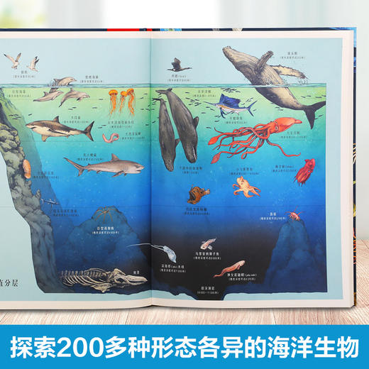 乐乐趣-奇迹博物馆 海洋博物馆 商品图1