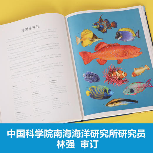 乐乐趣-奇迹博物馆 海洋博物馆 商品图4