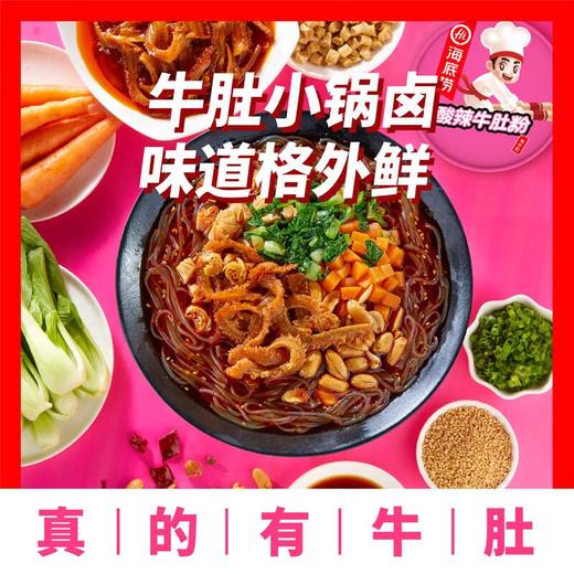 海底捞 酸辣牛肚粉 160g 商品图2