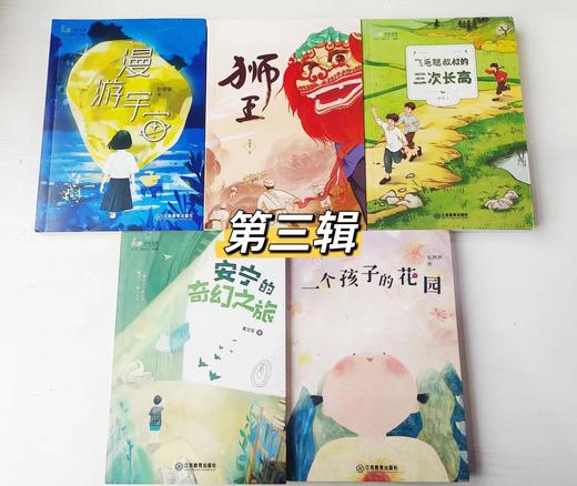 《麦田少年文库系列》第一辑/二辑/第三辑 全16册 汇聚110位当代作家 183篇作品 培养孩子文学素养 提升孩子阅读写作能力 商品图7