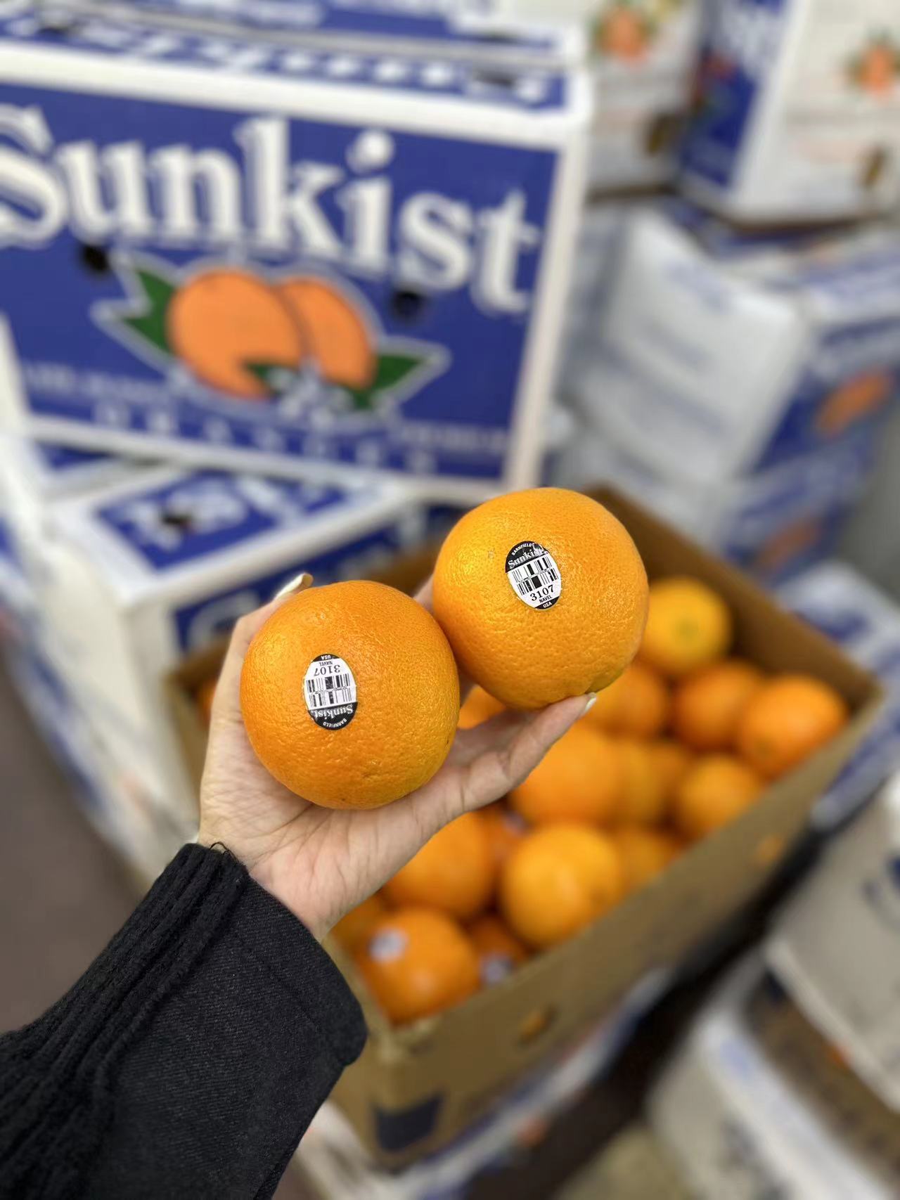 周四取货：【澳洲黑标3107橙】一份5个！超好吃的橙，没有之一！细腻无渣！超甜！超水！