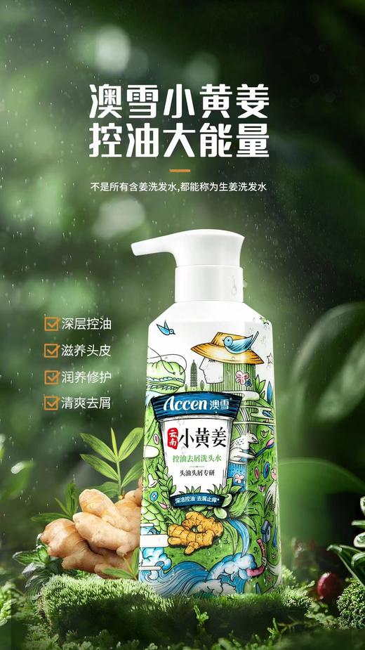 澳雪小黄姜控油去屑洗发水 商品图8