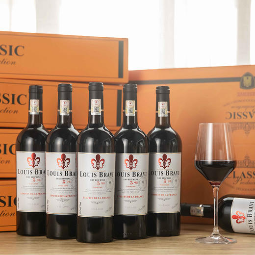 疯抢中！！干红葡萄酒 商品图0