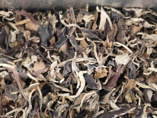 2000福鼎白茶白牡丹 商品图5